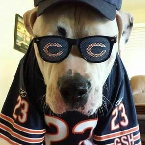 Meet your Posher, Earle